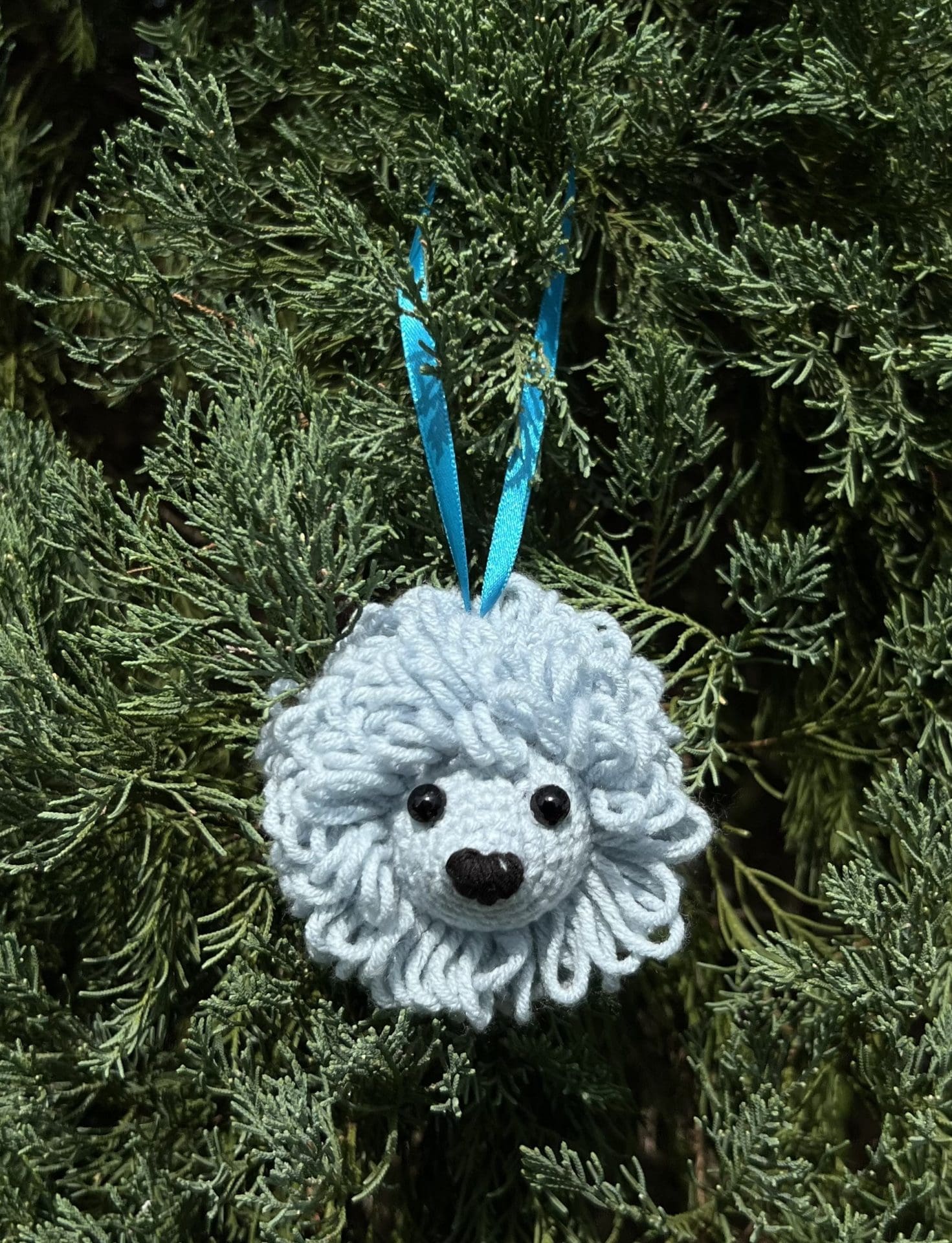Lovely Hedgehog