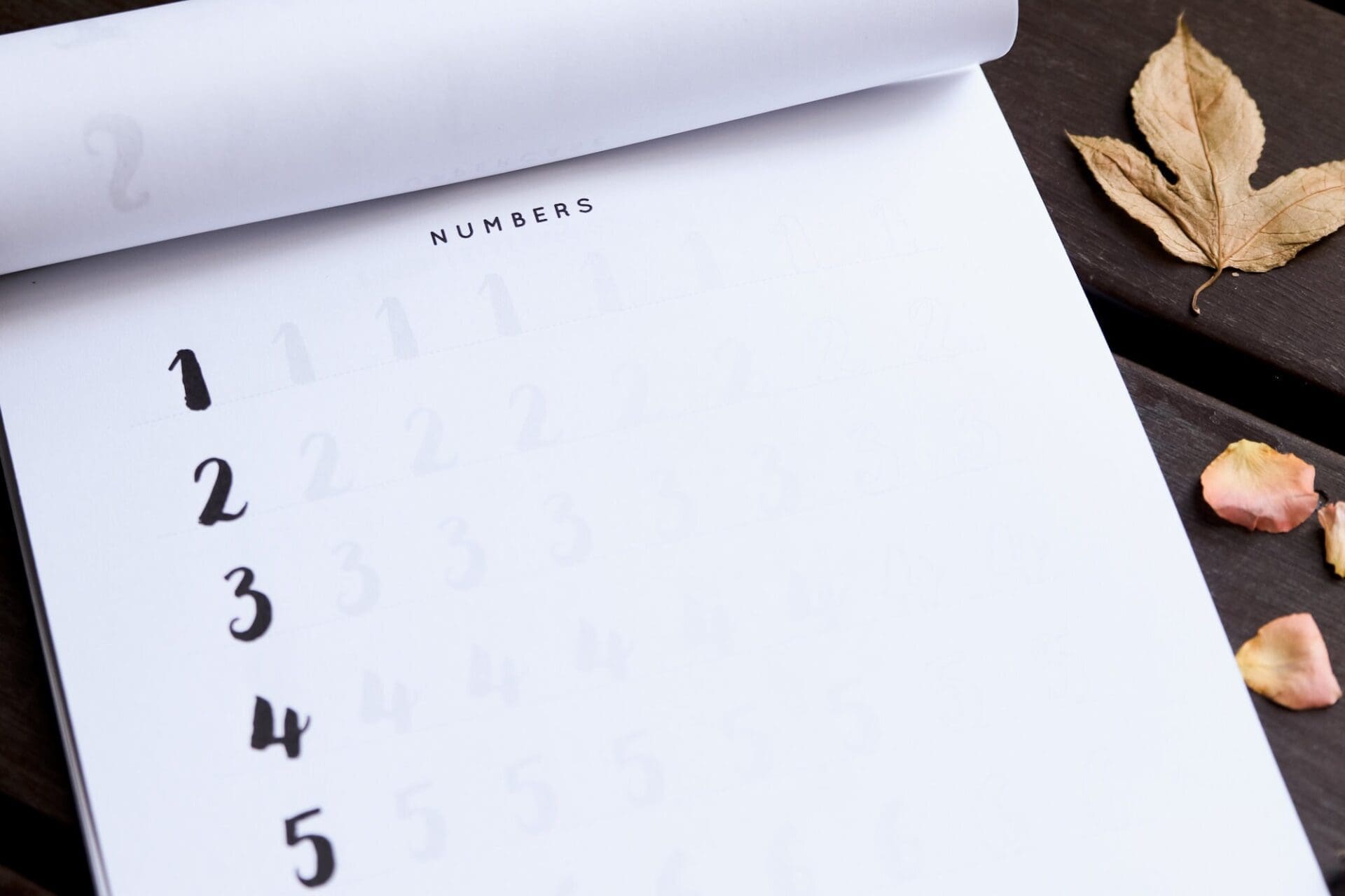 Brush Lettering Worksheets | A4 - Image 3